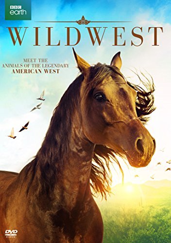 Wild West/Wild West