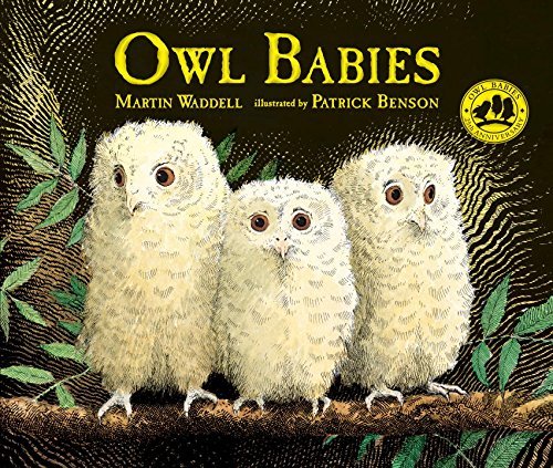 Martin Waddell/Owl Babies