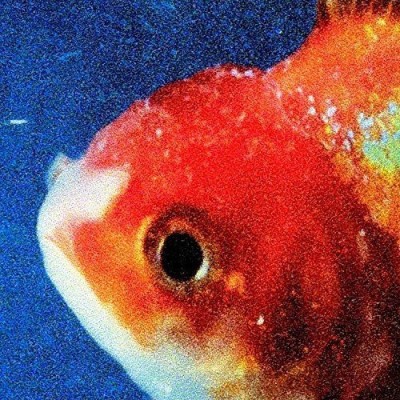 Vince Staples/Big Fish Theory@Import-Gbr
