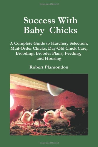 Robert Plamondon/Success With Baby Chicks