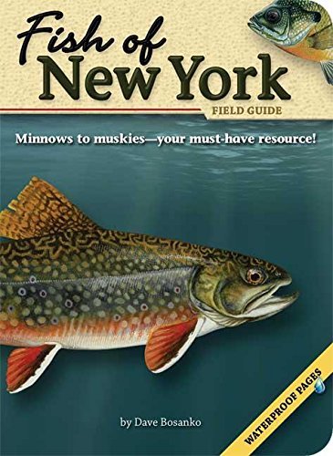 Dave Bosanko Fish Of New York Field Guide 