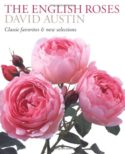 David Austin The English Roses Classic Favorites And New Selec 