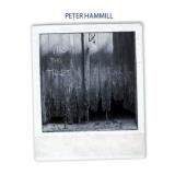 Peter Hammill From The Trees 