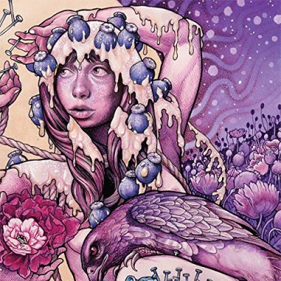 Album Art for Try To Disappear by Baroness
