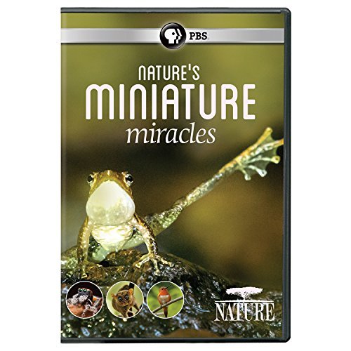 Nature/Nature's Miniature Miracles@PBS/DVD@G