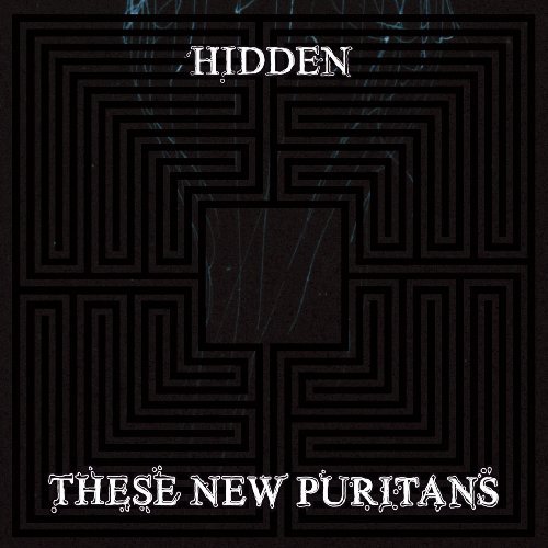 These New Puritans/Hidden