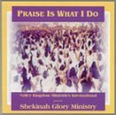 Shekinah Glory Ministry/Praise Is What I Do@2 Cd
