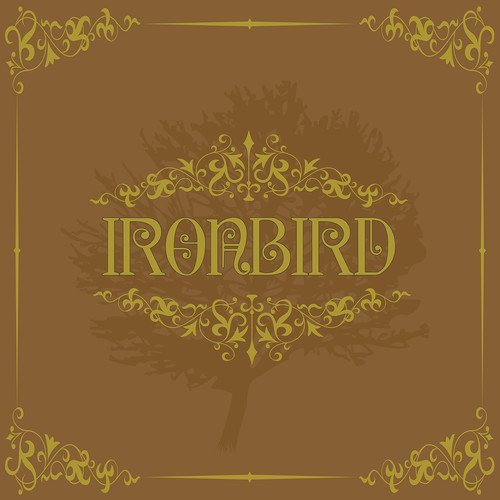 Ironbird/Ironbird