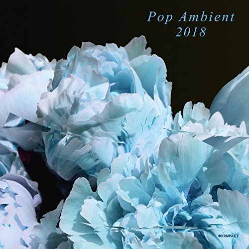 Pop Ambient 2018/Pop Ambient 2018@LP
