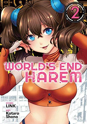 Link/World's End Harem Vol. 2
