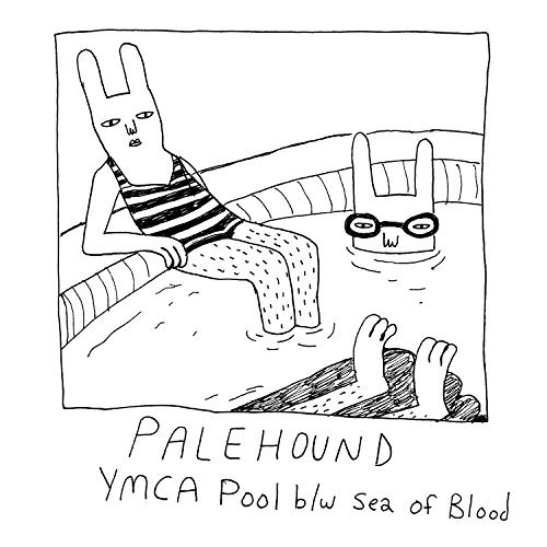 Palehound/Ymca Pool