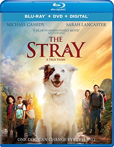 The Stray/Lancaster/Cassidy@Blu-Ray/DVD/DC@PG