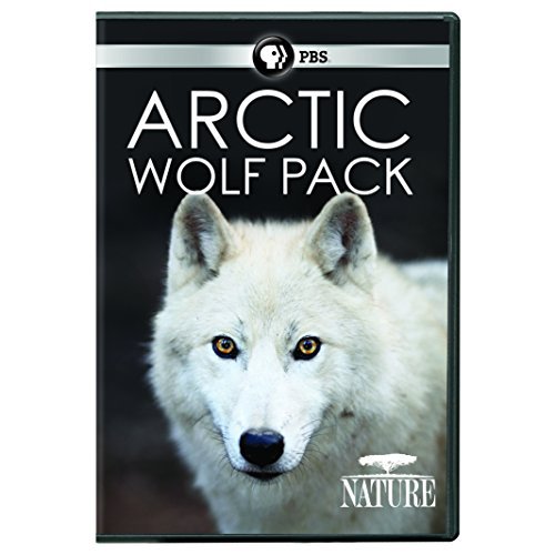 Nature/Arctic Wolf Pack@PBS/DVD@PG