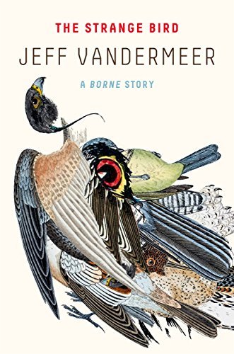 Jeff VanderMeer/The Strange Bird@A Borne Story