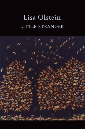 Lisa Olstein/Little Stranger