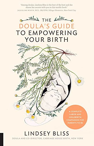 Lindsey Bliss/The Doula's Guide to Empowering Your Birth@ A Complete Labor and Childbirth Companion for Par