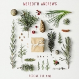 Meredith Andrews Receive Our King 