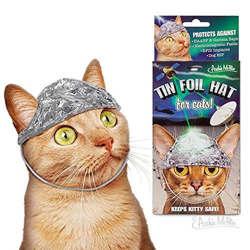 Novelty/Tin Foil Hat for Cats