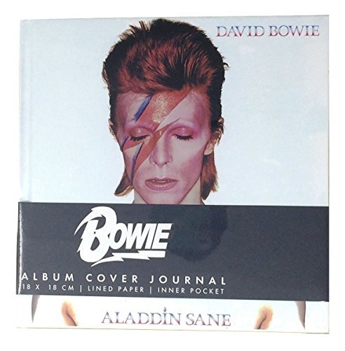 Journal/David Bowie - Aladidin Sane