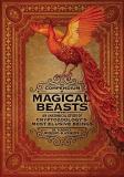 Veronica Wigberht Blackwater The Compendium Of Magical Beasts An Anatomical Study Of Cryptozoology's Most Elusi 