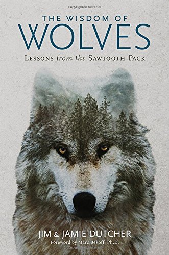 Jim Dutcher The Wisdom Of Wolves Lessons From The Sawtooth Pack 