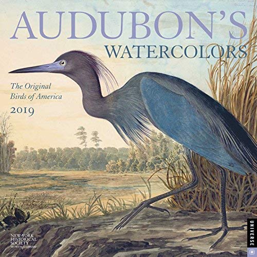 Wall Calendar/2019 Audubon's Watercolors