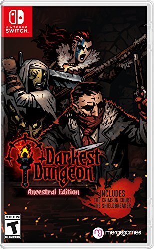 Nintendo Switch/Darkest Dungeon