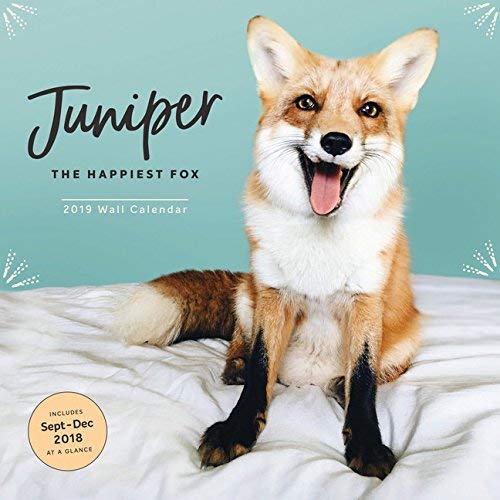 Wall Calendar/2019 Juniper the Happiest Fox