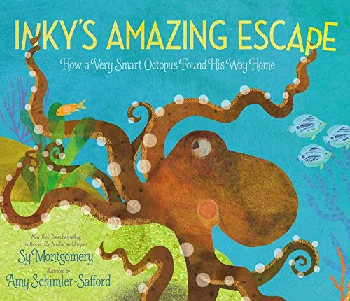 Sy Montgomery/Inky's Amazing Escape@How a Very Smart Octopus Found His Way Home