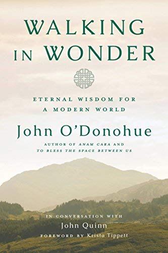 John O'donohue Walking In Wonder Eternal Wisdom For A Modern World 