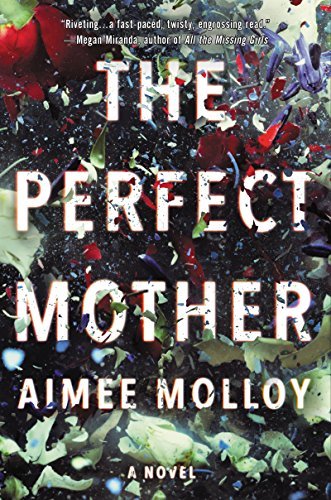 Aimee Molloy/The Perfect Mother