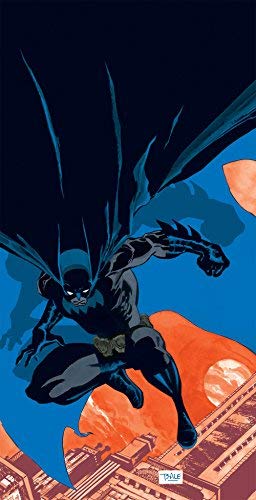 Jeph Loeb Batman Haunted Knight (new Edition) 