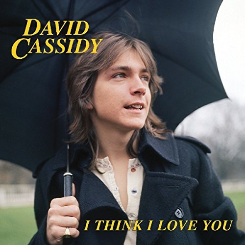 David Cassidy/I Think I Love You@.