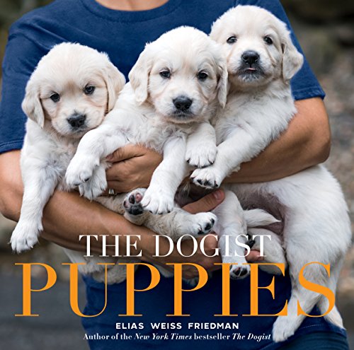 Elias Weiss Friedman/The Dogist Puppies