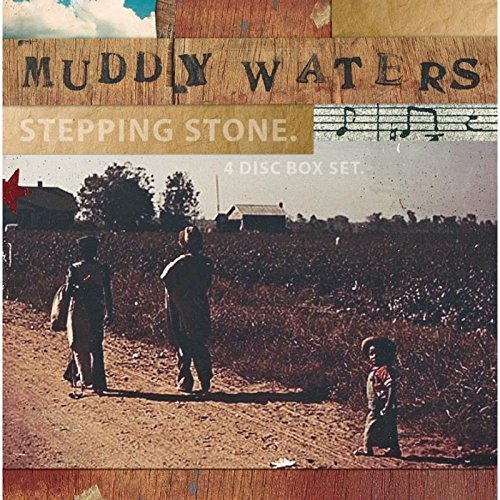 Muddy Waters/Stepping Stone@Import-Gbr@3 Cd Set/Incl. Dvd Ntsc