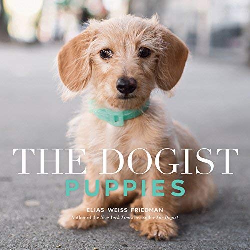 Elias Weiss Friedman/The Dogist Puppies