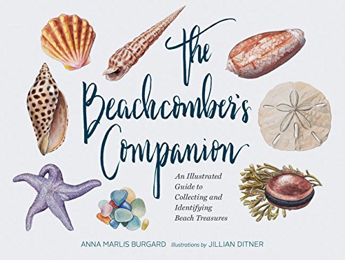 Anna Marlis Burgard/The Beachcomber's Companion@ An Illustrated Guide to Collecting and Identifyin