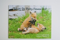 Roger L. Stevens Jr. Roger L. Stevens Jr. What Do Baby Foxes Do? 