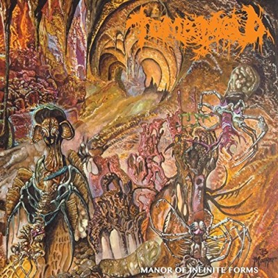 Tomb Mold/Manor Of Infinite Forms
