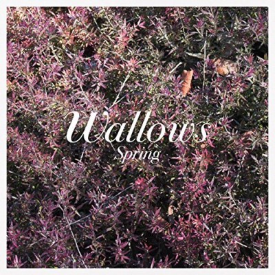 Wallows/Spring EP (Pink & Green Vinyl)@Pink & Green Vinyl