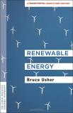Bruce Usher Renewable Energy A Primer For The Twenty First Century 