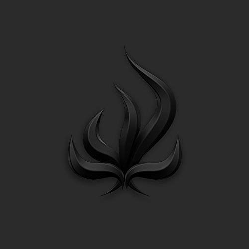 Bury Tomorrow/Black Flame
