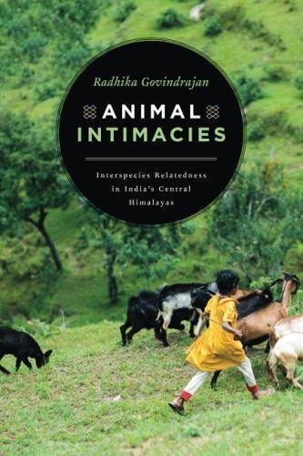 Radhika Govindrajan Animal Intimacies Interspecies Relatedness In India's Central Himal 