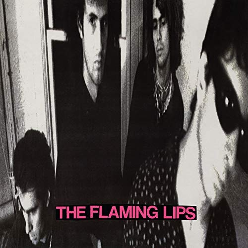 The Flaming Lips/In A Priest Driven Ambulance
