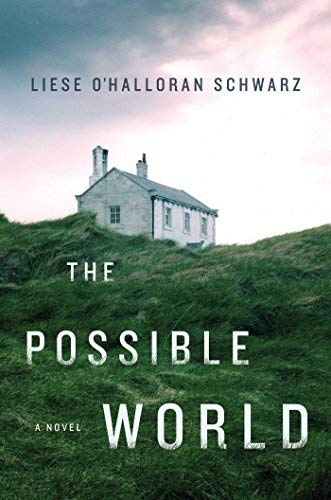 Liese O'Halloran Schwarz/The Possible World