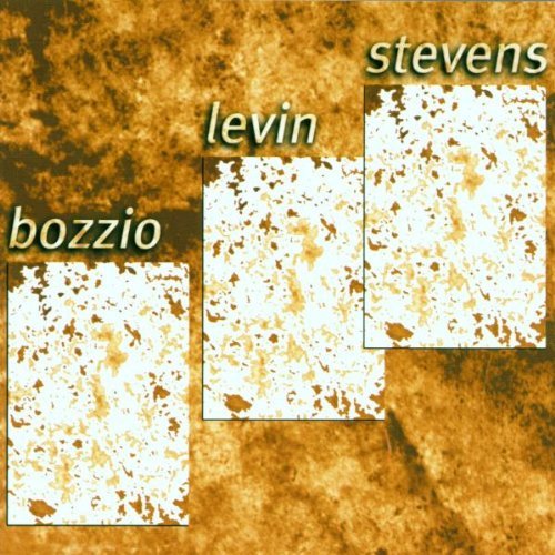 Bozzio/Levin/Stevens/Situation Dangerous
