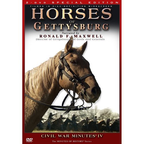 Horses Of Gettysburg-Civil War/Horses Of Gettysburg-Civil War@Clr/Ws@Nr/2 Dvd