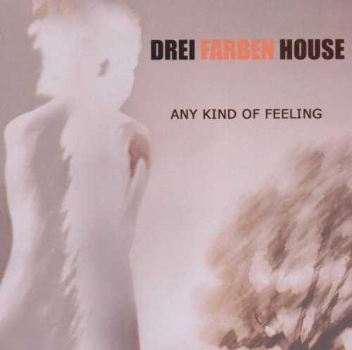 Drei Farben House/Any Kind Of Feeling