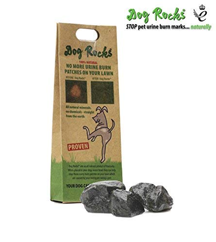 Dog Rocks® - Let your dog save your lawn!