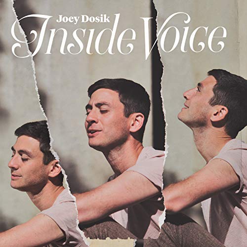 Joey Dosik Inside Voice 